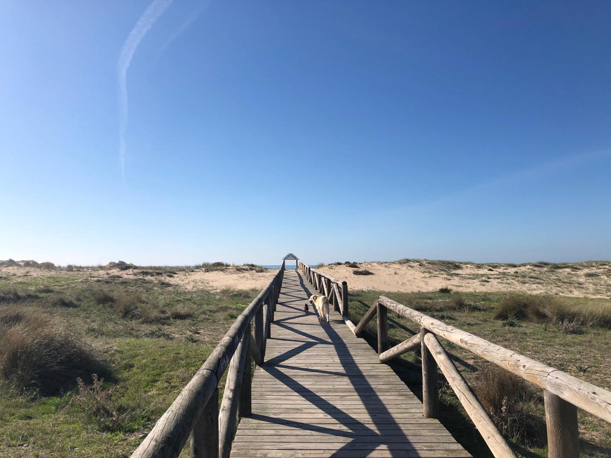 Apartamento Aretusa El Velero Zahara de los Atunes Exterior foto